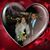 Armando Diaz Aguilar's profile image