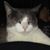 Ann Kearns's profile image