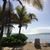 Mary Lou Emlikian Shores's profile image