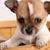 Traci Crummitt's profile image