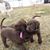 Dave Stier's profile image