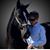 Susan Omran's profile image