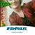 Toni Schneider's profile image