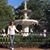 Susan Rochelle's profile image
