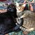 Kathleen Hayes Marchitelli's profile image