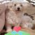 Patti Hoke's profile image