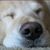 Aaron Hampton's profile image