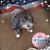Carolyn Bailey's profile image