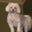 Fabrienne Hart's profile image