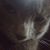 Darlene Gibson Hazelton's profile image