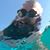 Thomas Hebert's profile image