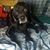 John Wiegman's profile image