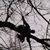 Craig Kolman's profile image