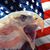 Amado Azua Jr.'s profile image