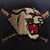 Webster Wildcats's profile image