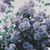 Kimberly Regalado's profile image