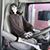 Kenny Raney's profile image