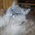 Karla Jean Olson Cool's profile image