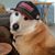 Diane Shanbrom's profile image