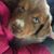 Penny Ebeling's profile image