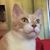 Bonnie Stonebraker Davis's profile image