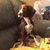 Douglas Mader's profile image