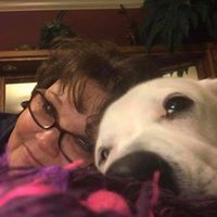 Sandy Anderson's profile image