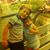 Christian Petit's profile image