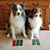 Julie Campion's profile image