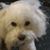 Roxanne Plunkett's profile image