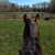 Becca Goats Foot's profile image