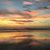 Angel Sawyer Boyles's profile image