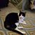 Sandra Andrews Gonder's profile image