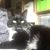 Stephanie Evans's profile image