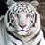 Randy James Humes's profile image