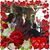 Bonnie Tilford's profile image