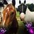 Kayla Frazzini Wessell's profile image