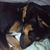 Heather Consuegra's profile image