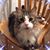 Abby Lou's profile image