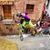 Elhan Cajic's profile image