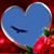 Teresa O'Neill's profile image