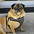 Donna Boyer's profile image
