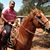 Angel Garcia's profile image