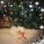 Joann Rean's profile image