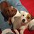 Sue Fiene's profile image