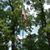 Jackie Dumesnil Gillespie's profile image
