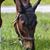 Linda Morton's profile image