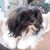 Ilia Fernandez's profile image