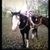 Angie Wilmath's profile image