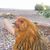 Jeff Reitter's profile image